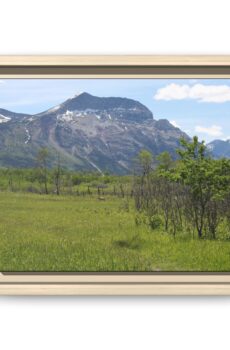 Mountain Meadow Landscape