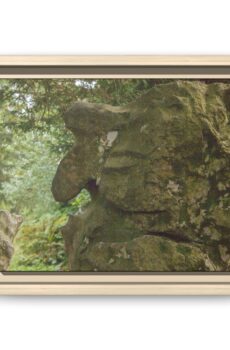 Witches Stone