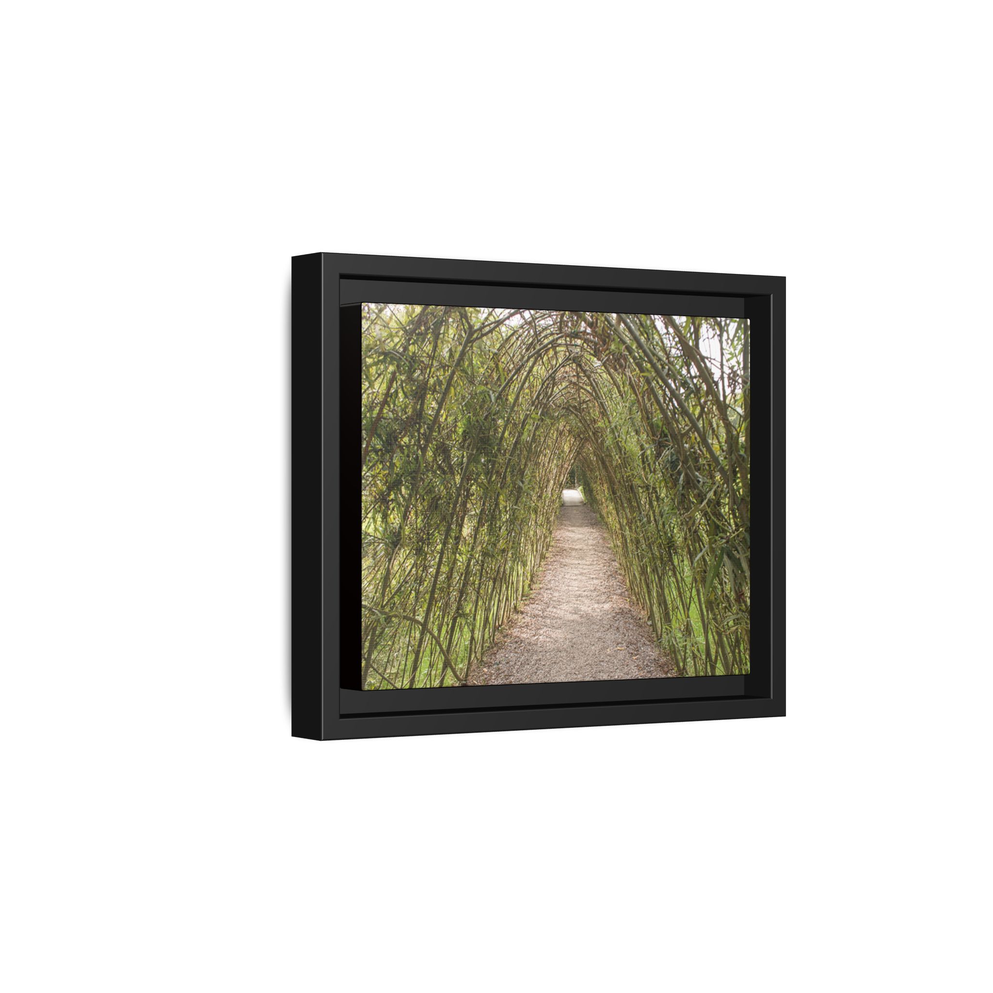 Garden Pathway Archway - Image 6
