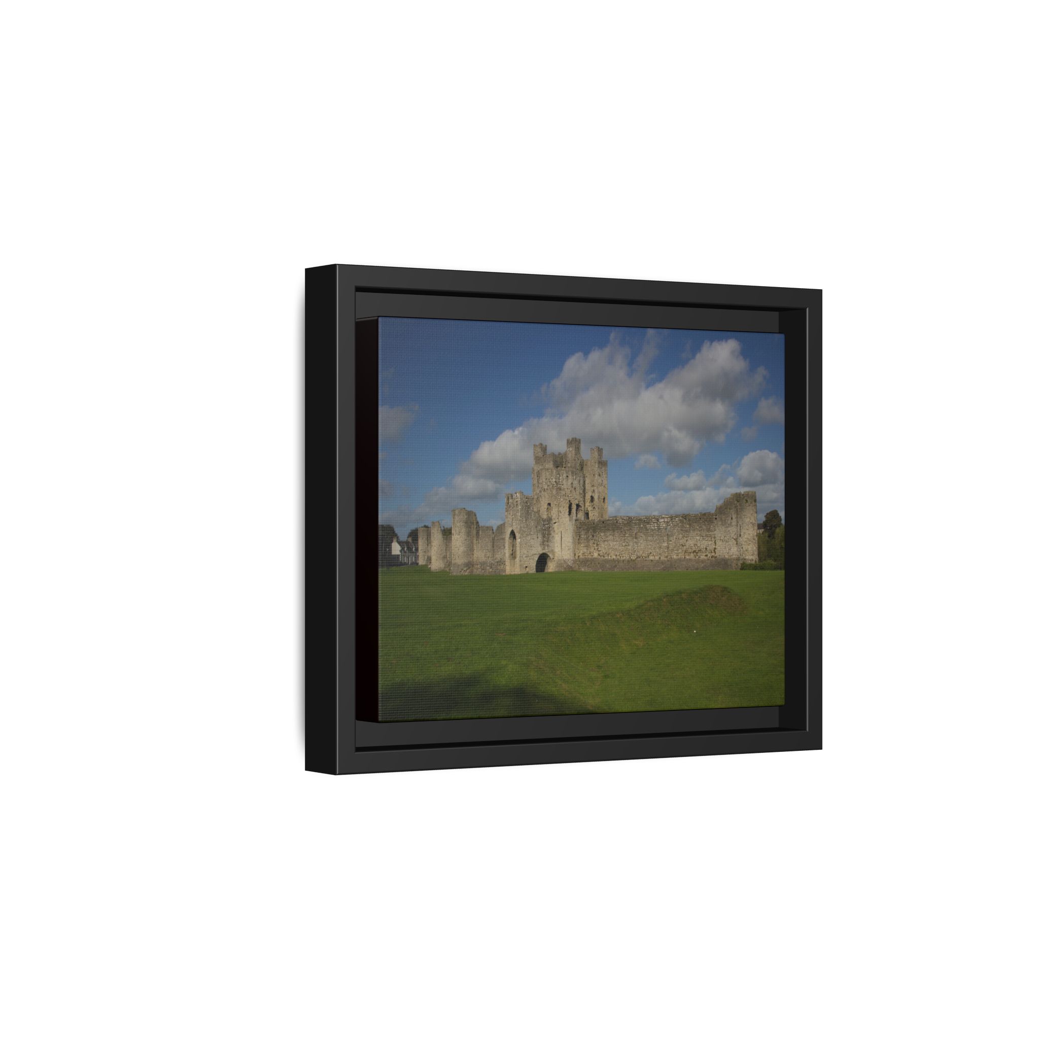 Trim Castle - Image 6