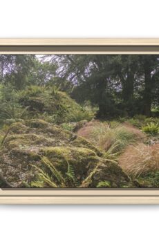 Druid's Circle