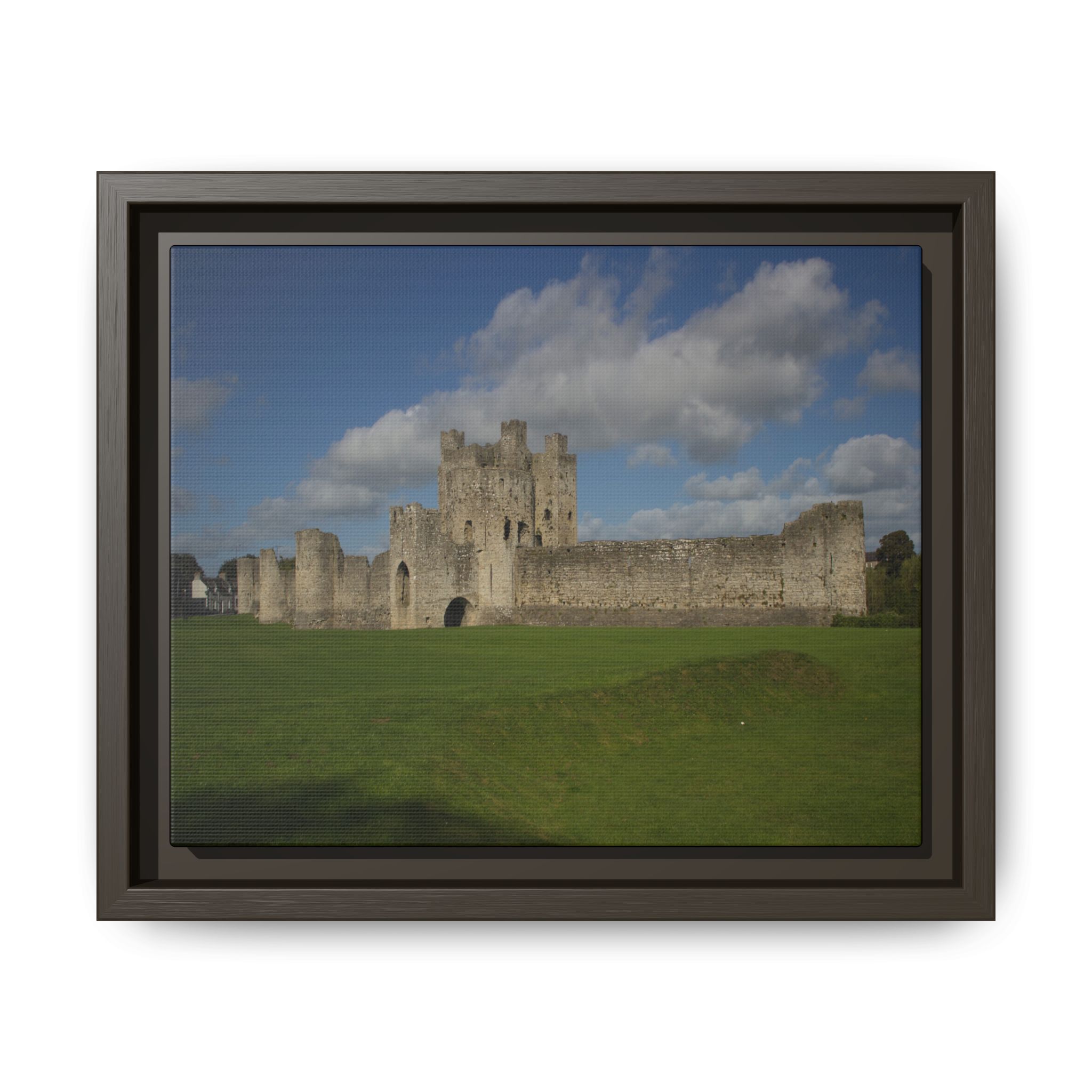 Trim Castle - Image 9