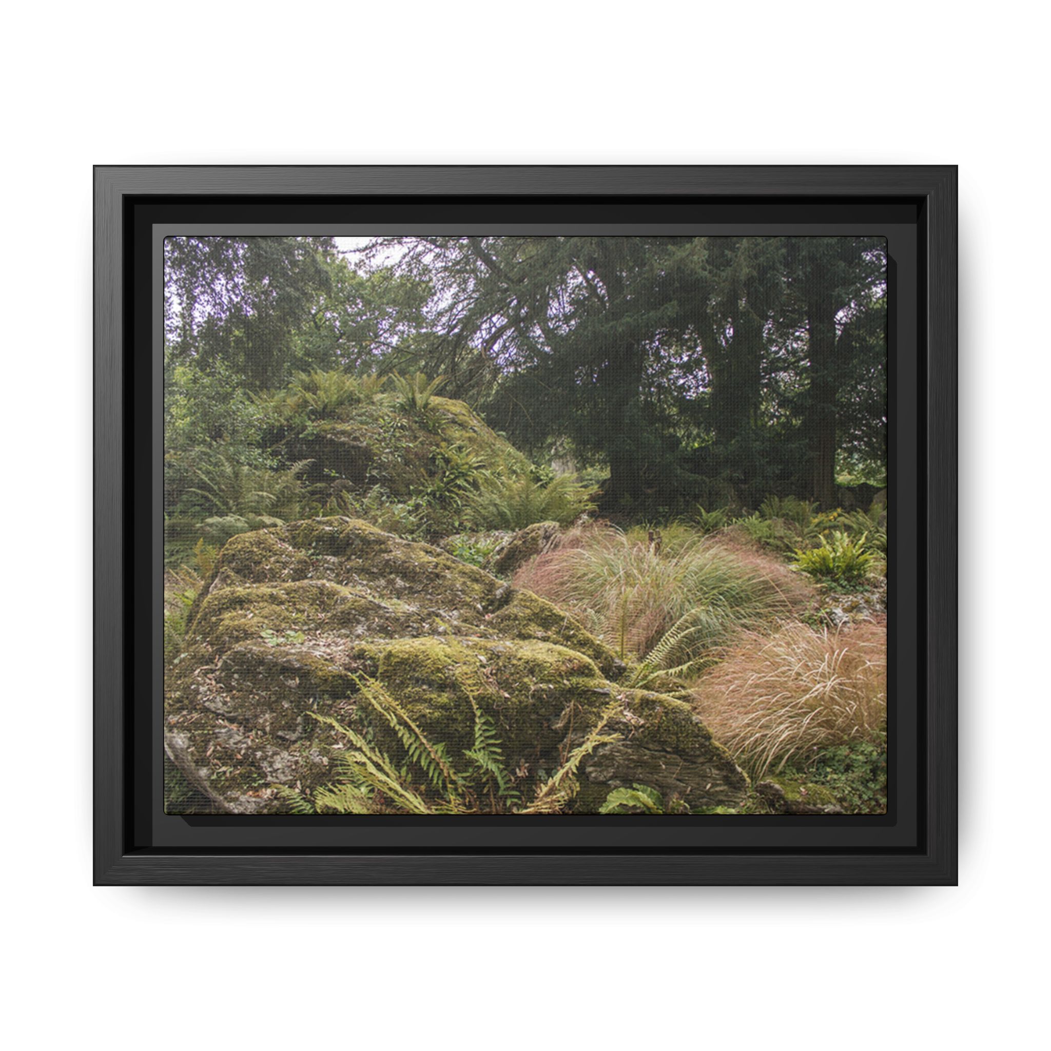 Druid's Circle - Image 5