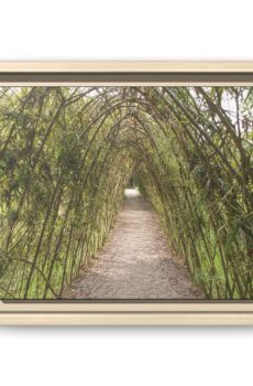 Garden Pathway Archway