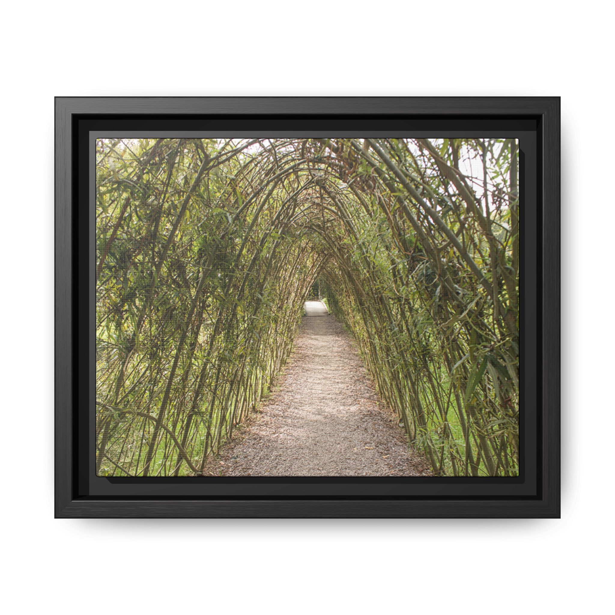 Garden Pathway Archway - Image 5