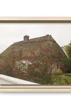 Irish Thatched Cottage