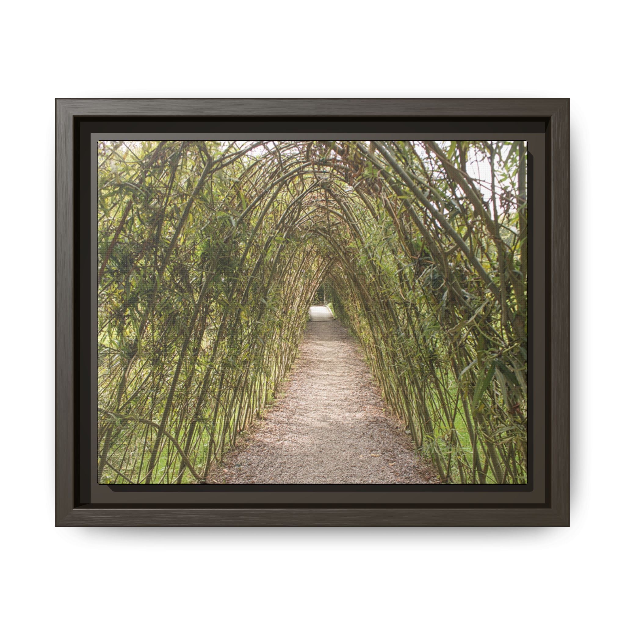 Garden Pathway Archway - Image 9