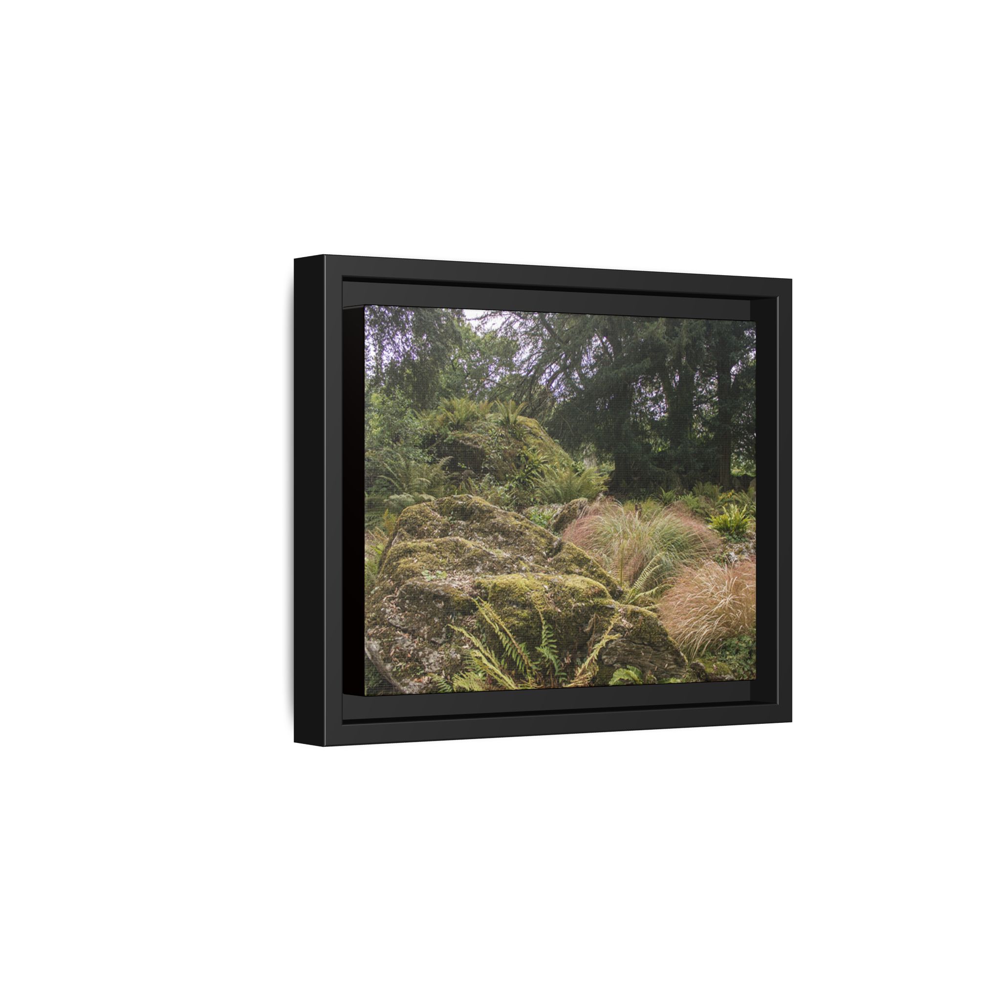 Druid's Circle - Image 6