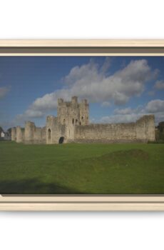 Trim Castle