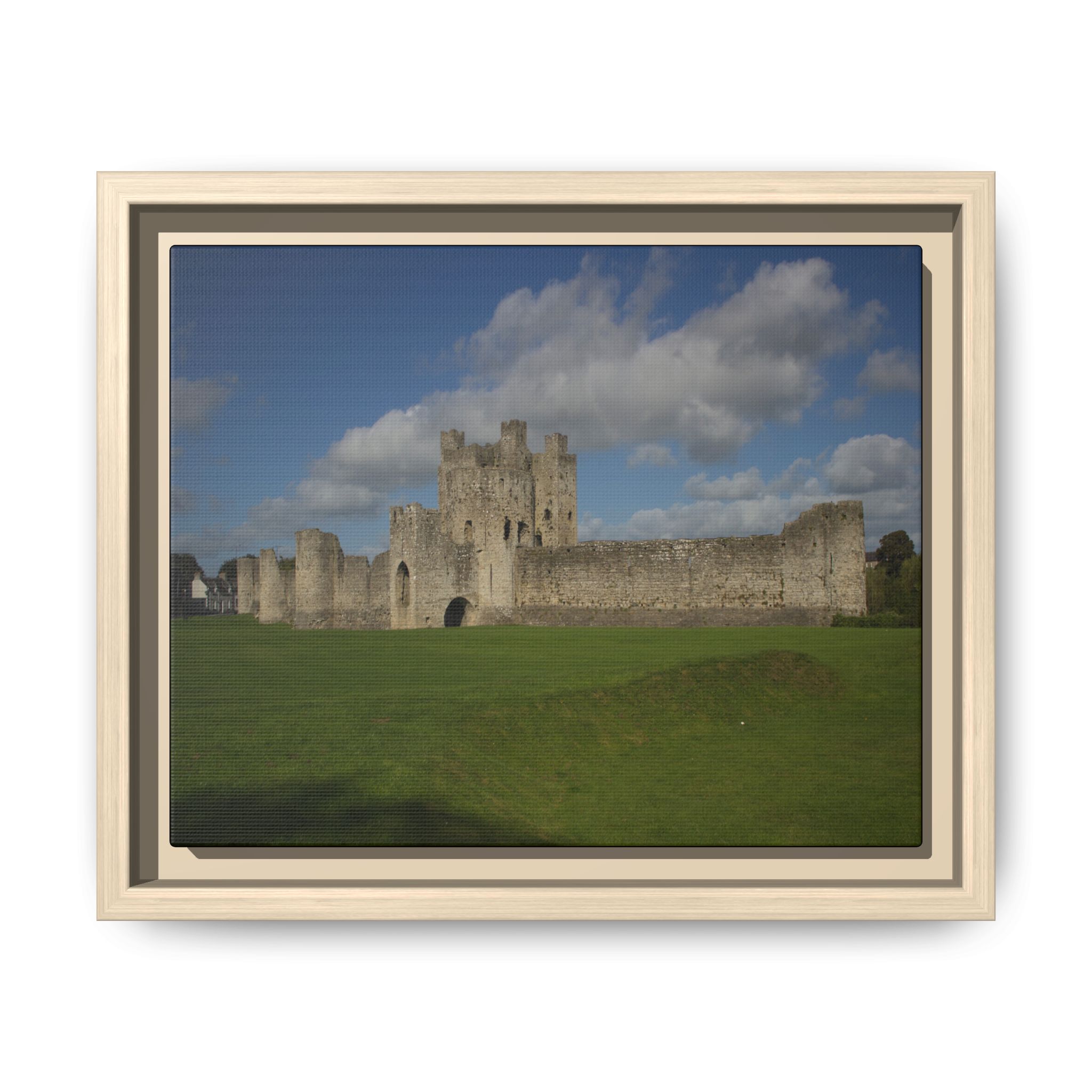 Trim Castle