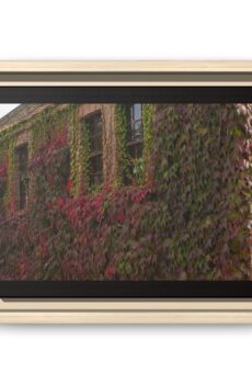 Autumn Ivy House