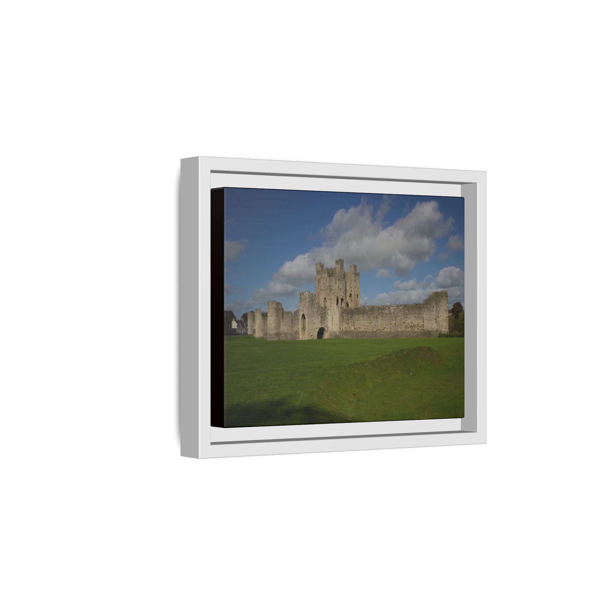 Trim Castle - Image 14