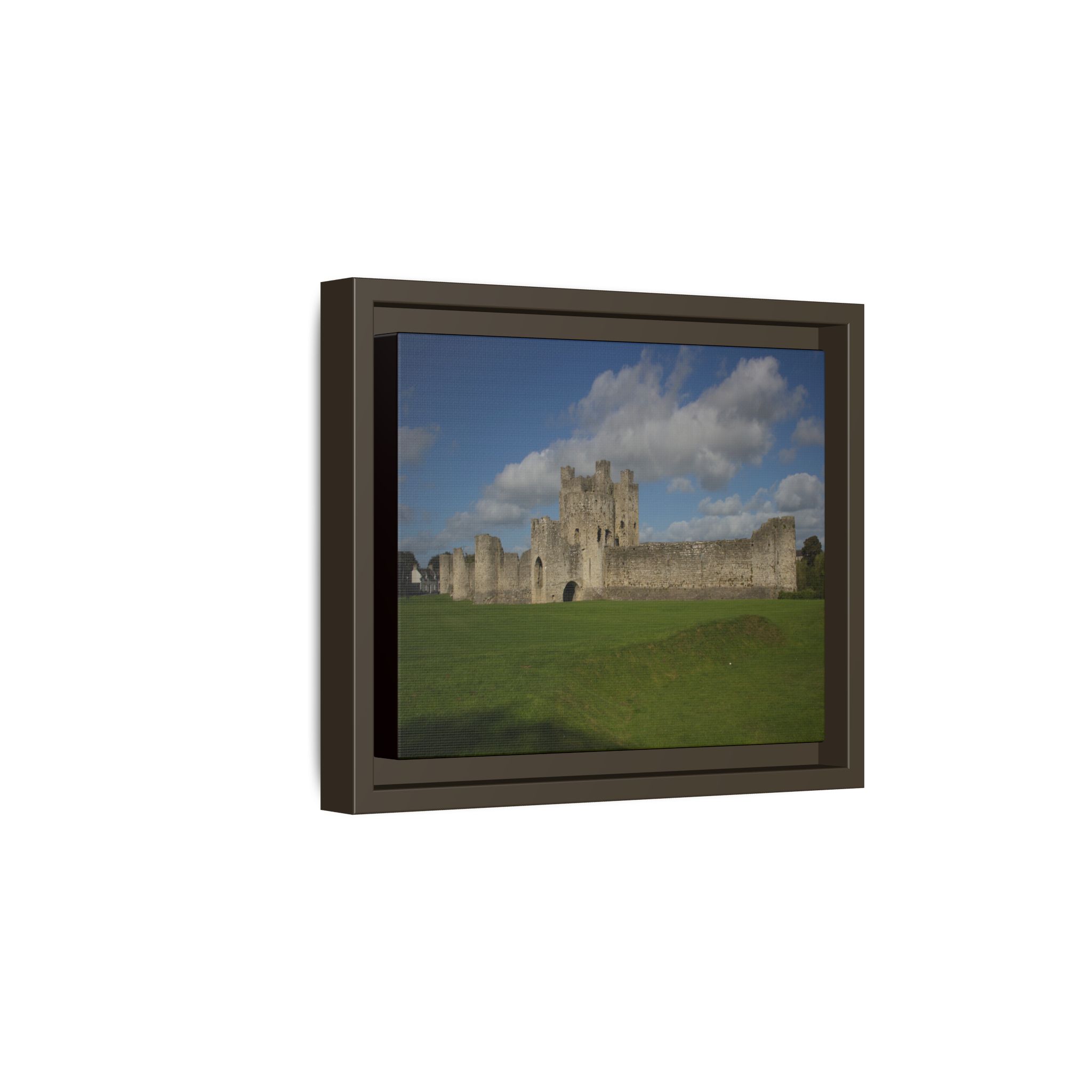 Trim Castle - Image 10